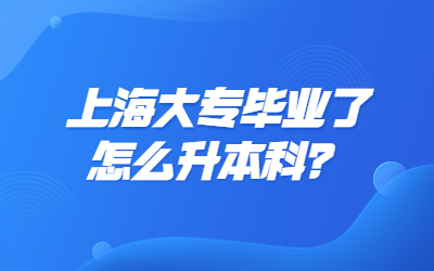 上海大專畢業了怎么升本科？